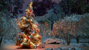 A Christmas Tree In The Snow With Lights On It Wallpaper