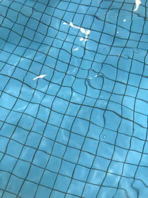 A Close Up Of A Swimming Pool With A Net Wallpaper