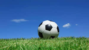 A Close-up Shot Of A Classic Black And White Soccer Ball Wallpaper