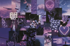 A Collage Of Purple Pictures And Images Wallpaper