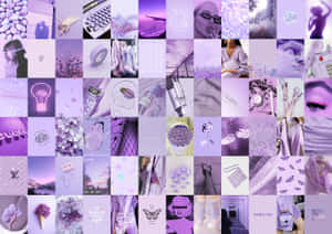 A Color-filled And Captivating Purple Aesthetic Collage Wallpaper