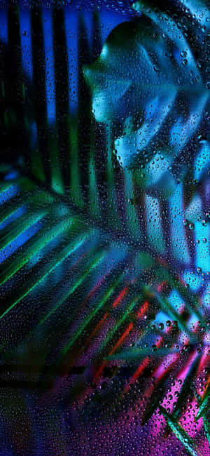 A Colorful Tropical Leaf With Water Droplets On It Wallpaper