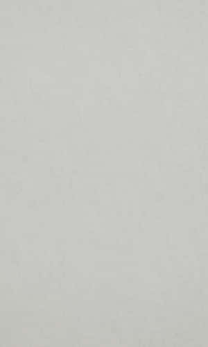 A Cool And Calming Gray Backdrop. Wallpaper