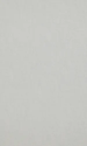 A Cool And Calming Gray Backdrop. Wallpaper