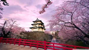 A Cool Japanese Tree Beside A Pagoda Wallpaper