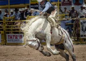 A Cowboy Attempting A Bronco Ride In A Rodeo Competition. Wallpaper