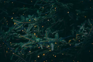 A Cozy And Beautiful Christmas Night Wallpaper