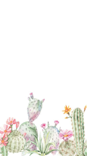 A Cute Cactus Ready To Brighten Up Your Home Wallpaper