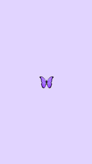 A Cute Purple Butterfly Spreads Its Wings Wallpaper