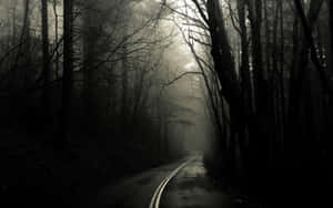 A Dark And Mysterious Fog Creeps Along The Edge Of The Woods. Wallpaper