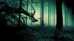 A Dark Forest With A Dragon In The Middle Wallpaper