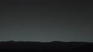 A Dark, Mystical Forest Wallpaper