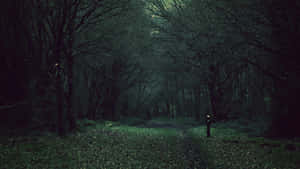 A Dark Path Through The Woods Wallpaper