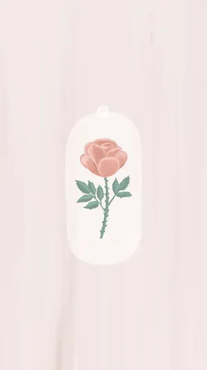 A Delicate Simple Flower In The Morning Sunshine Wallpaper