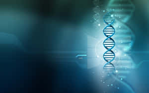 A Dna Strand On A Blue Background Wallpaper