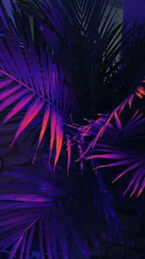 A Dope Tumblr Purple And Blue Palm Wallpaper Wallpaper