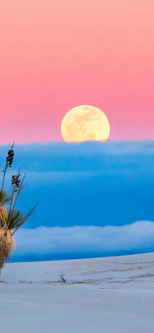 A Full Moon Rises Over A Desert Wallpaper
