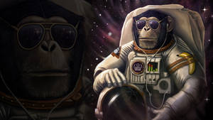A Funny Monkey Astronaut In Space Wallpaper