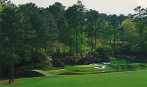 A Golf Course With Trees Wallpaper