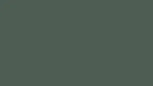 A Green Background With A White Plane Flying Over It Wallpaper