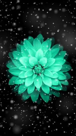 A Green Flower With Snow Falling On It Wallpaper