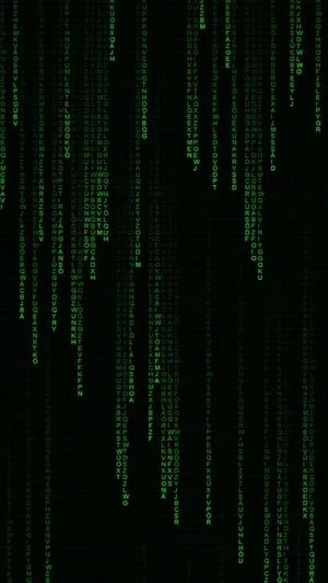 A Green Matrix Code Background Wallpaper