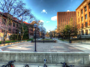 A Group Of Bicycles Parked In A Park Wallpaper