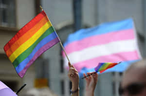 A Group Of People Waving Rainbow Flags In A Crowd Wallpaper