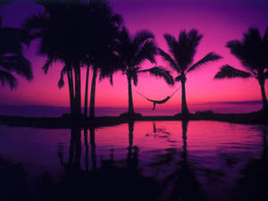 A Hammock Hanging Over A Pool Wallpaper