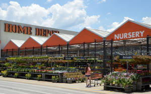 A Home Depot Garden Center Filled With Vibrant Greenery And Garden Essentials. Wallpaper