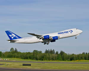 A Huge Jumbo Jet Take Off Under The Cloudy Sky Wallpaper