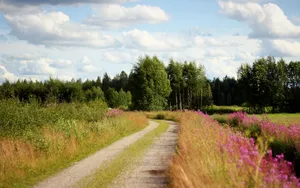 A Journey Along The Country Road Wallpaper