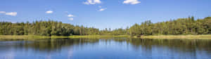 A Lake Surrounded By Trees And A Blue Sky Wallpaper