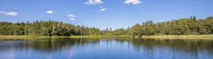 A Lake Surrounded By Trees And A Blue Sky Wallpaper
