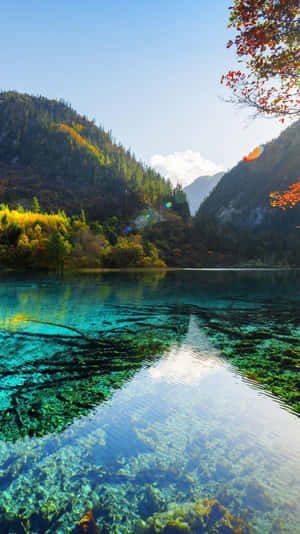A Lake With Clear Water And Trees In The Background Wallpaper