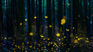 A Luminous Firefly Lights Up The Night Sky Wallpaper