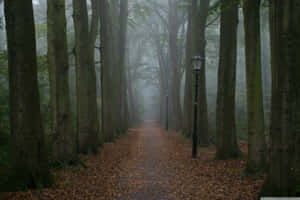 A Melancholic Yet Serene View Of The Streets Of A Small Village. Wallpaper