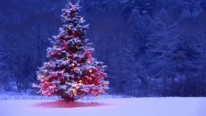 A Minimalist Aesthetic Tree To Brighten Your Holiday Season Wallpaper
