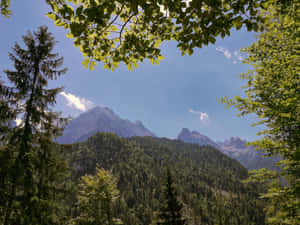 A Mountain Range With Trees Wallpaper