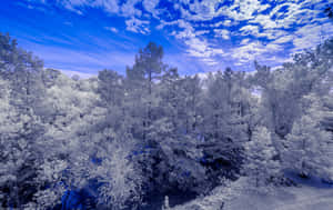 A Mountain Snow-capped Landscape During The Winter Wallpaper