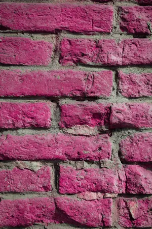 hot pink brick aesthetic  Hot pink wallpaper, Hot pink background, Pink  wallpaper