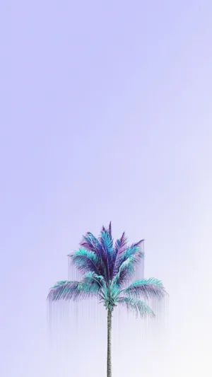 A Palm Tree In A Blue Sky Wallpaper