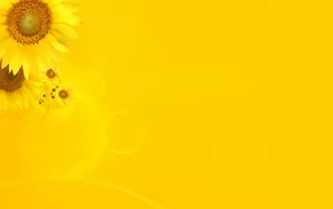 A Pastel Yellow Laptop In A Modern And Stylish Design Wallpaper