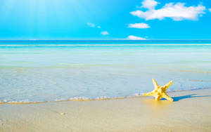 A Peaceful Day At The Beach - A Starfish And The Sand In Summer Bliss Wallpaper