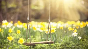 A Peaceful Walk In The Simple Beauty Of Spring Wallpaper