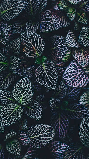 A Perfect Blend Of Nature And Technology - Plant Iphone Wallpaper