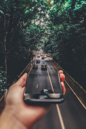 A Person Holding A Cell Phone In Front Of A Tree Wallpaper