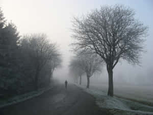 A Person Is Walking Down A Road Wallpaper