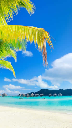 A Picture Perfect View Of Paradise Wallpaper