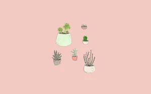 A Pink Background With A Bunch Of Plants In Pots Wallpaper